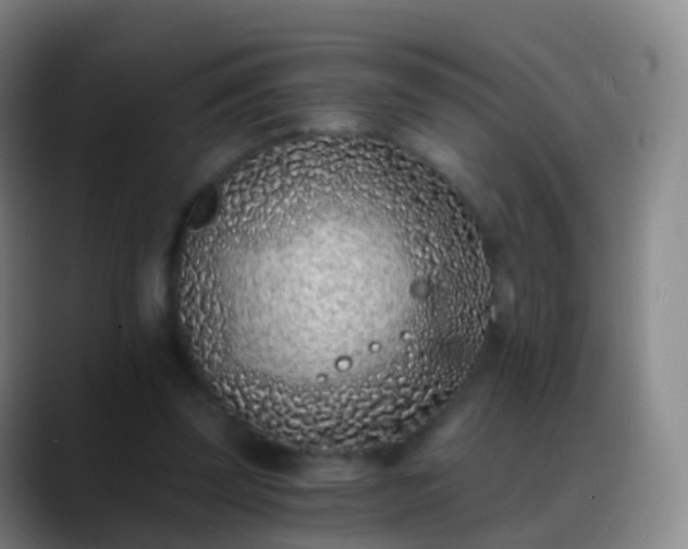 X0000088890347200706151833