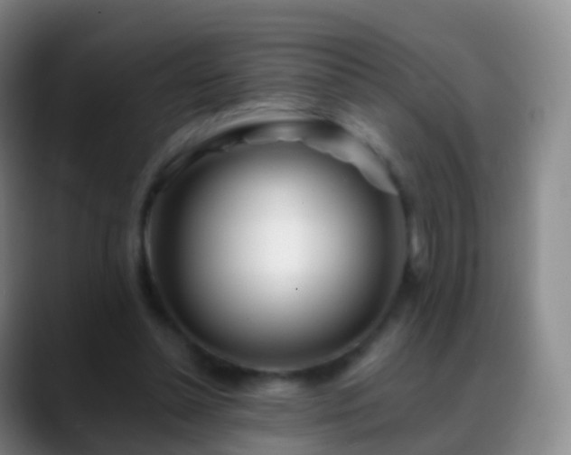 X0000088890348200706151833