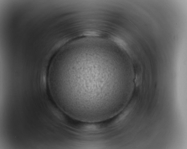 X0000088890349200706151833