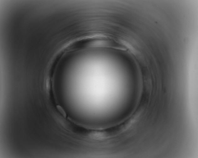 X0000088890350200706151833