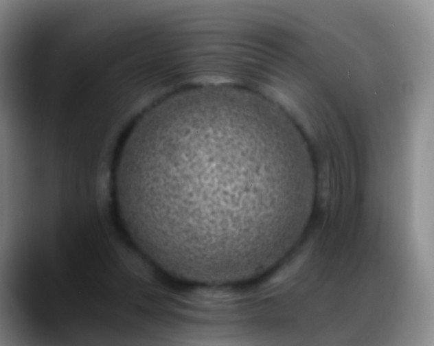 X0000088890351200706151833