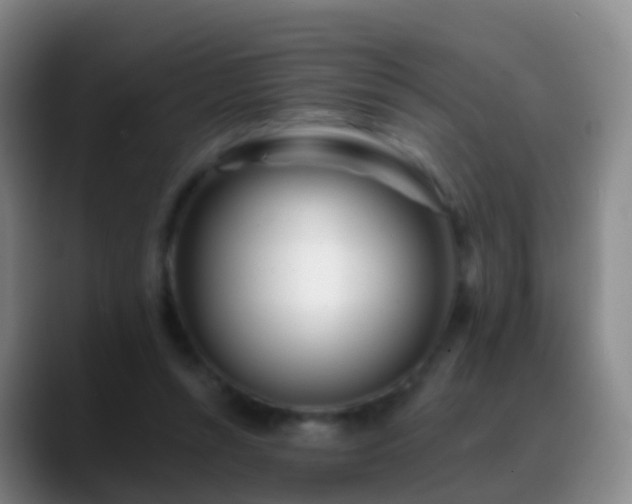 X0000088890352200706151833