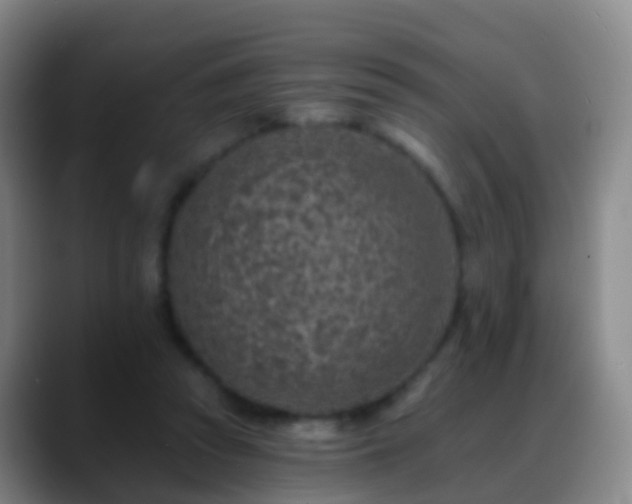 X0000088890353200706151833