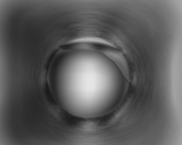 X0000088890356200706151834