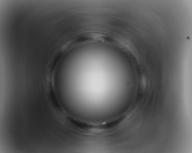 X0000088890360200706151834