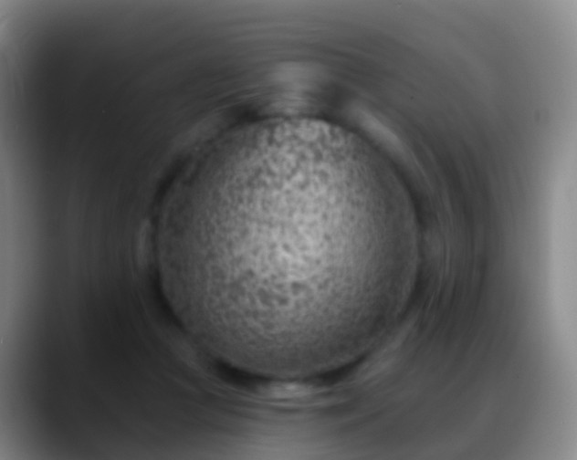 X0000088890361200706151834