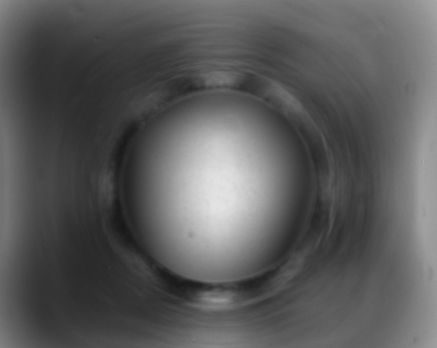 X0000088890362200706151834