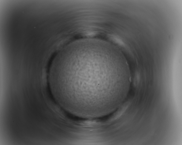 X0000088890366200706151834