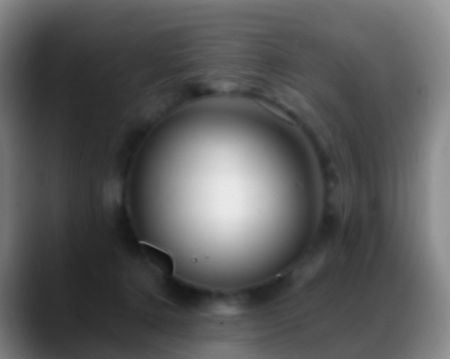 X0000088890368200706151834