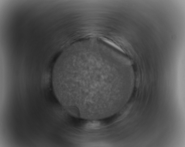 X0000088890369200706151834