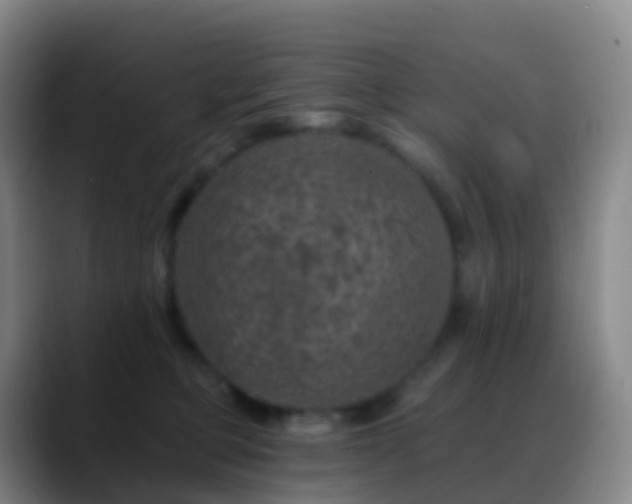 X0000088890373200706151834