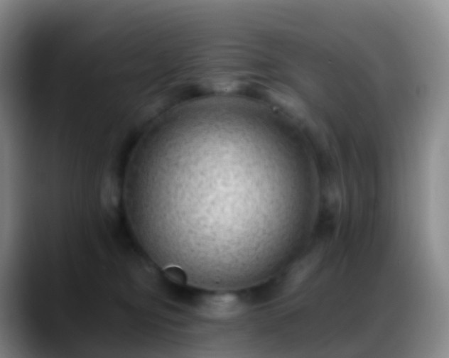 X0000088890374200706151834