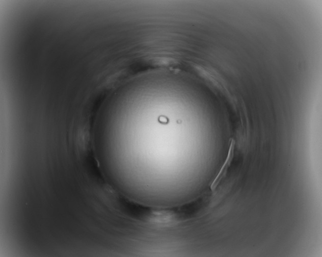 X0000088890376200706151834