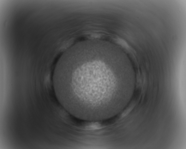 X0000088890377200706151834