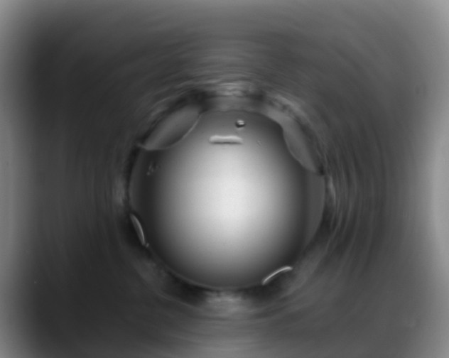 X0000088890380200706151834