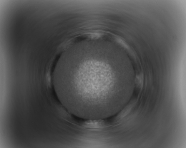 X0000088890381200706151834