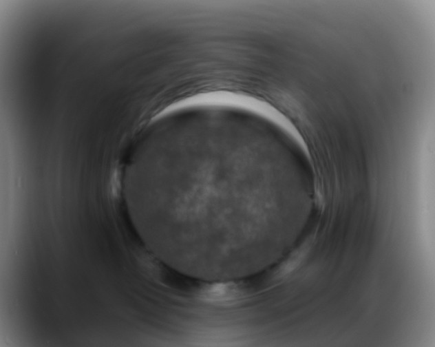 X0000088890382200706151834