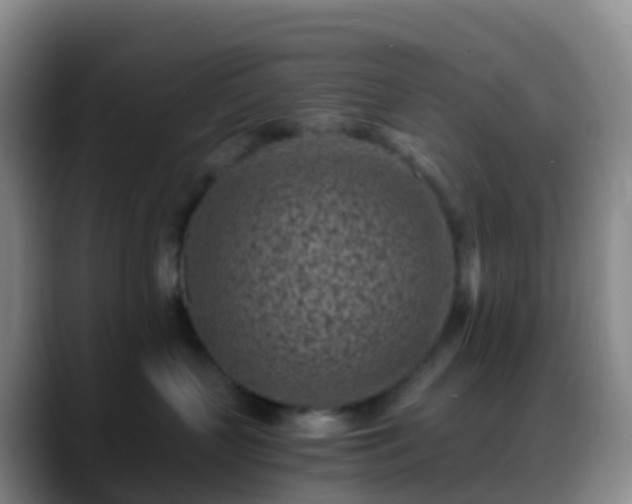 X0000088890383200706151834