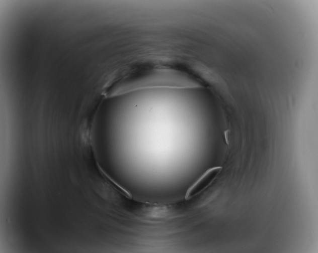 X0000088890384200706151834