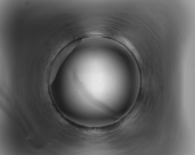 X0000088890385200706151833