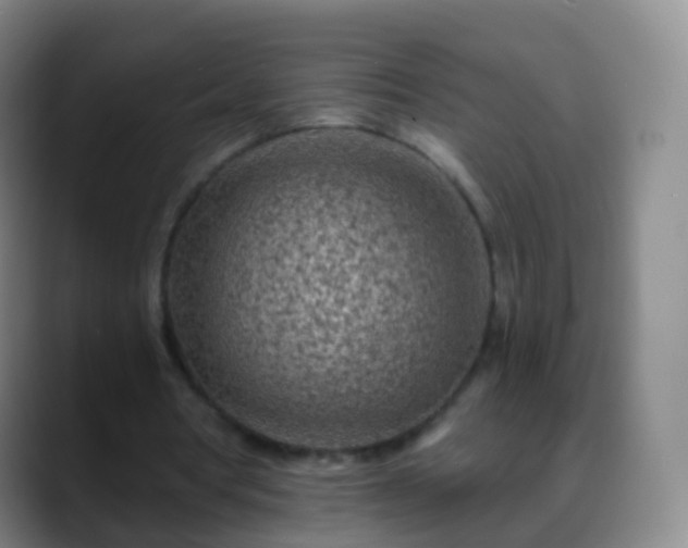 X0000088890386200706151833