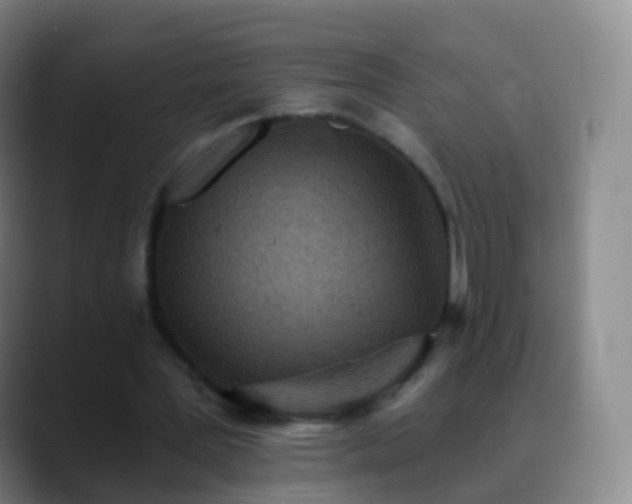 X0000088890387200706151833