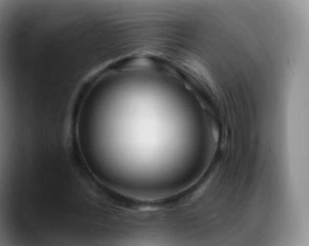 X0000088890388200706151833