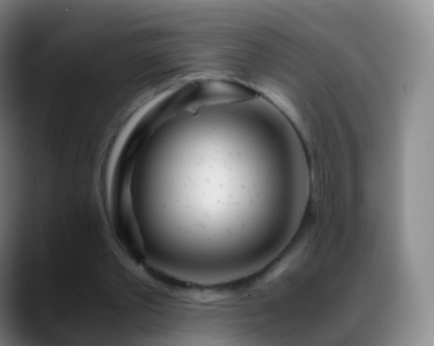 X0000088890389200706151833