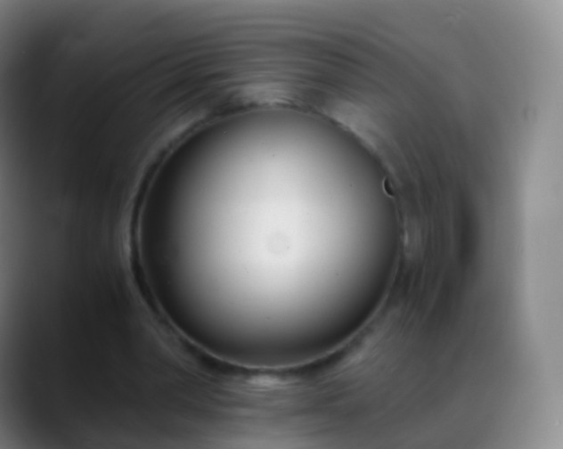 X0000088890390200706151833