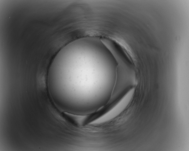 X0000088890393200706151833