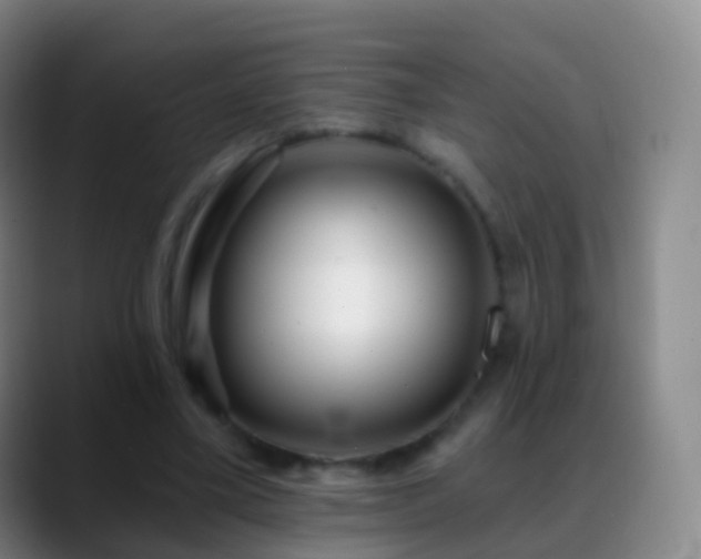 X0000088890395200706151833