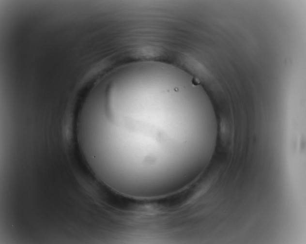 X0000088890396200706151833