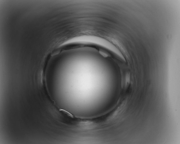 X0000088890397200706151833