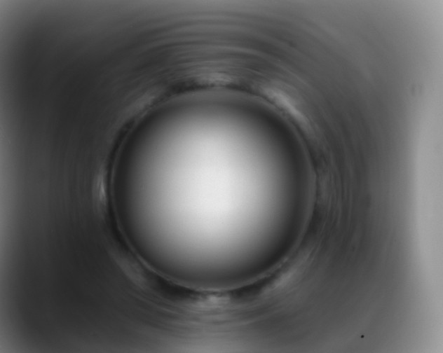 X0000088890398200706151833