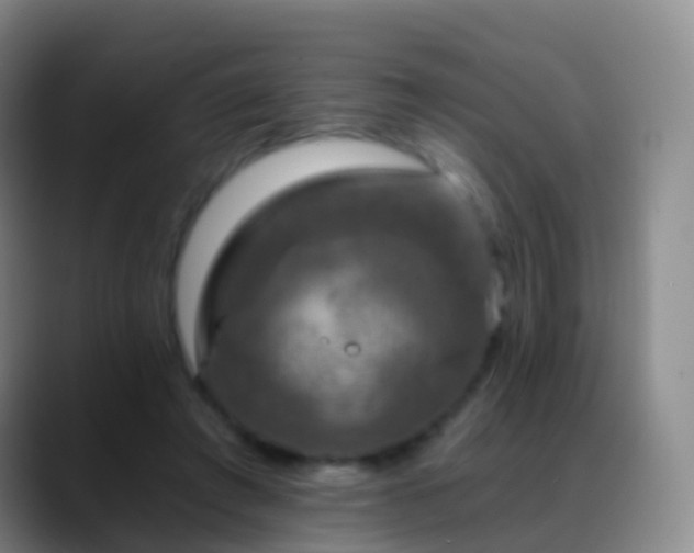 X0000088890401200706151833