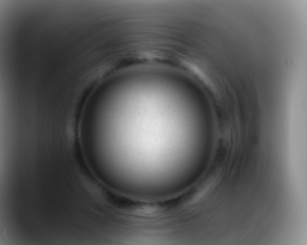 X0000088890402200706151833