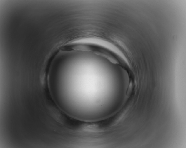 X0000088890403200706151833