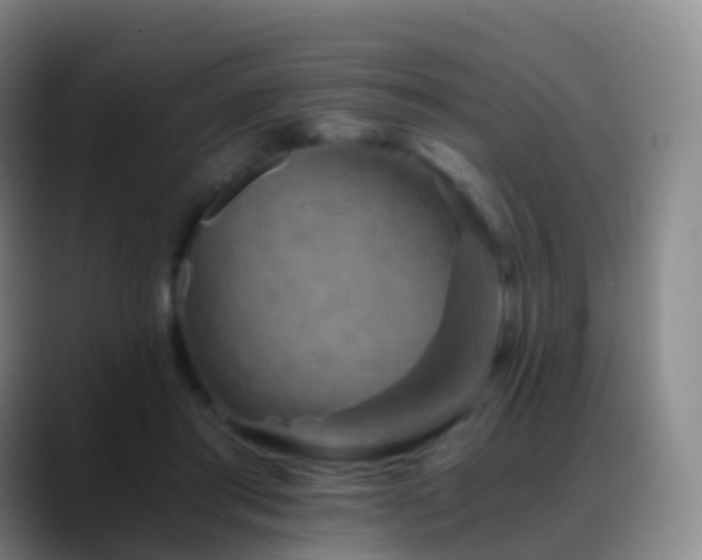 X0000088890405200706151833