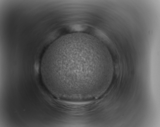 X0000088890406200706151833