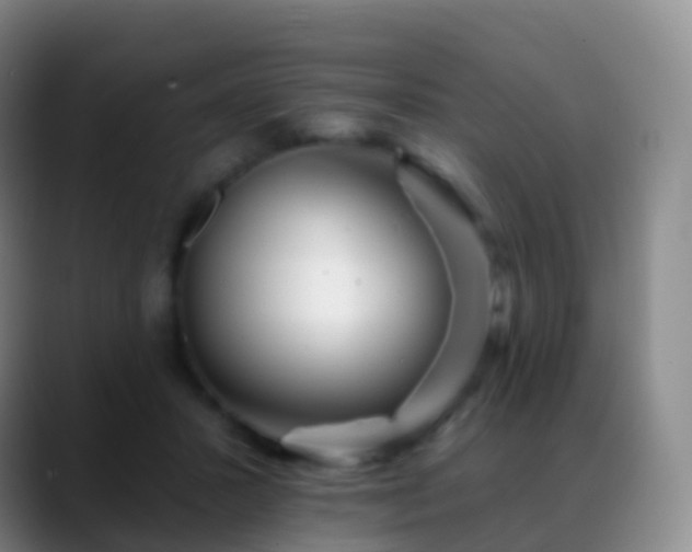 X0000088890407200706151833