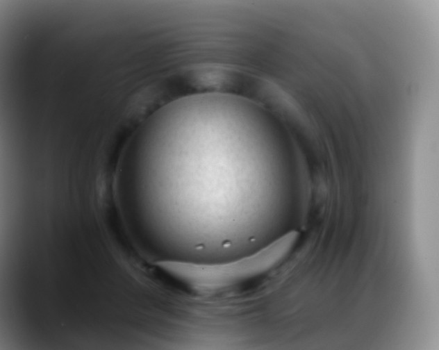 X0000088890408200706151833