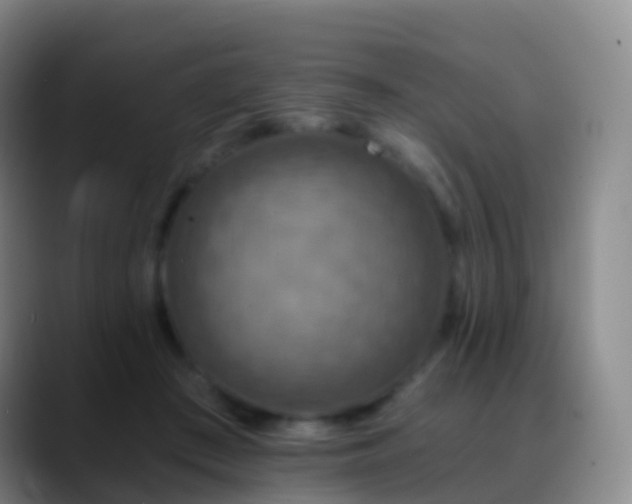 X0000088890409200706151833