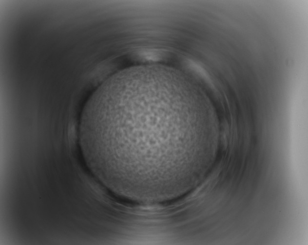 X0000088890410200706151833