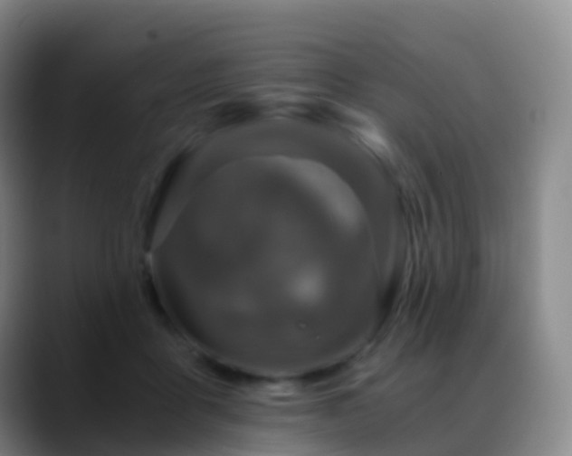 X0000088890411200706151833