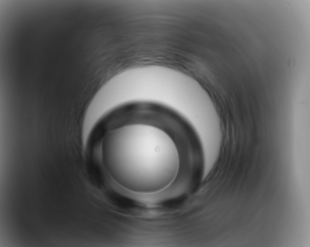 X0000088890412200706151833