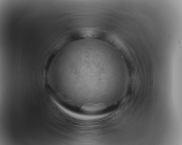 X0000088890413200706151833