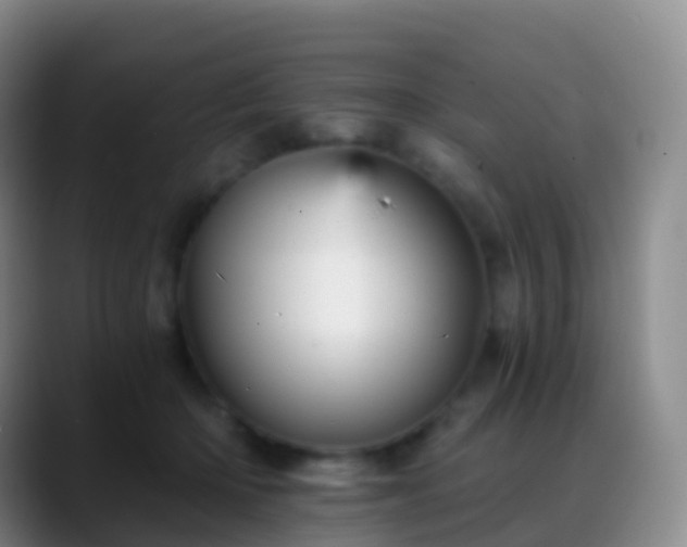 X0000088890414200706151833