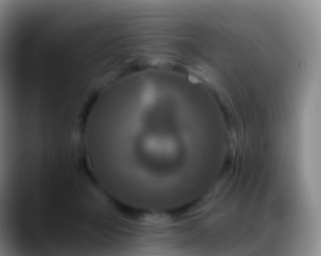 X0000088890415200706151833