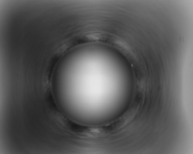 X0000088890418200706151833