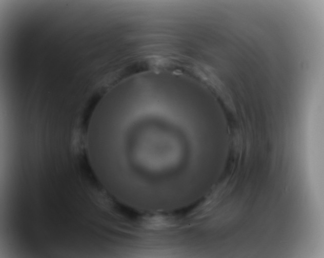 X0000088890419200706151833